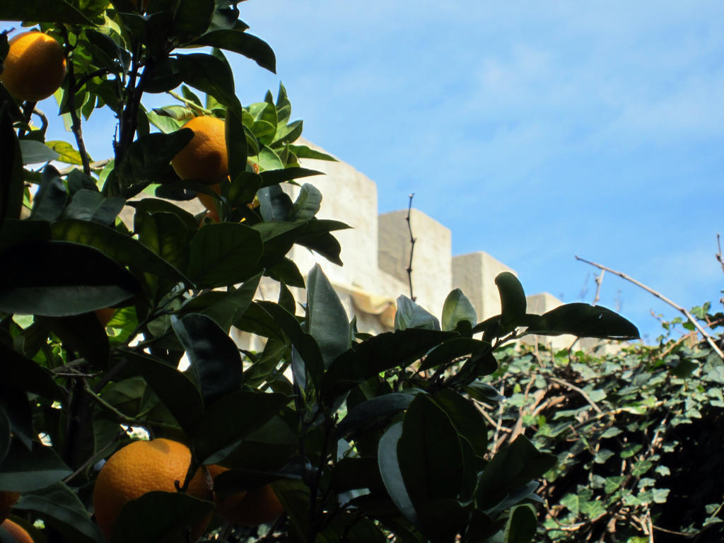 Villa Giardinata Chiesa Nuova  Extérieur photo