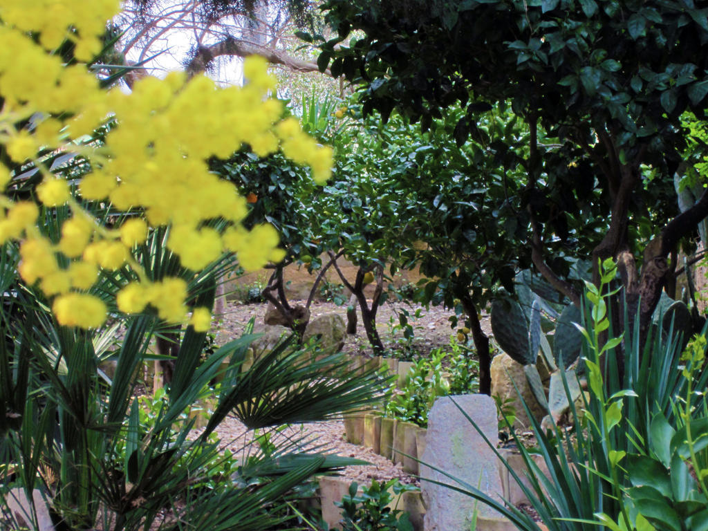 Villa Giardinata Chiesa Nuova  Extérieur photo