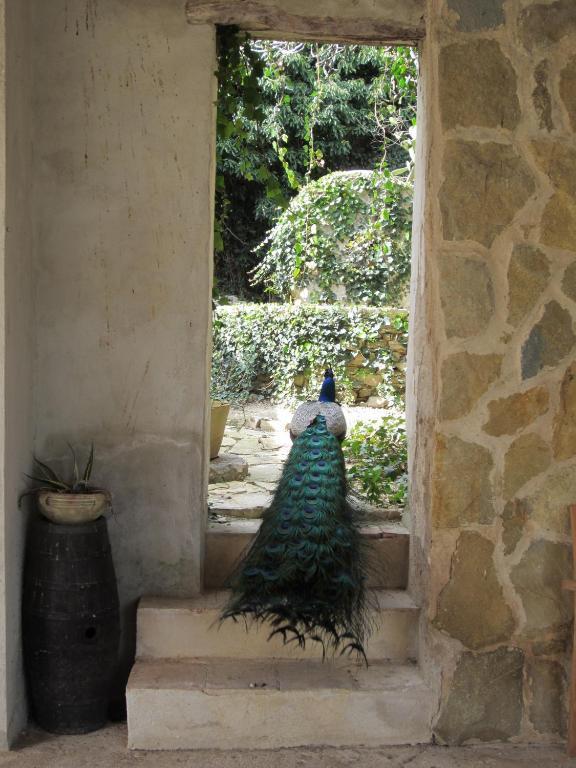 Villa Giardinata Chiesa Nuova  Chambre photo